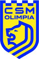 CSM Satu Mare