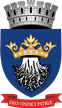 SCM Brasov