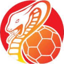 Bad Wildungen Vipers Bad Wildungen Vipers