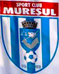 Mureșul Târgu Mureș Mureșul Târgu Mureș