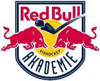 Red Bull Salzburg 2 Red Bull Salzburg 2