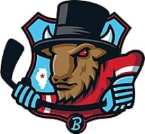 Bloomington Bison Bloomington Bison