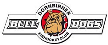 Dornbirn