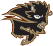 Manitoba Bisons