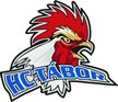 Tábor