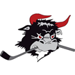 Rødovre Mighty Bulls