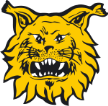 Ilves U20