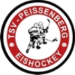 Peißenberg