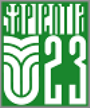 Sapientia U23 Sapientia U23