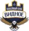 Vidnoye Vidnoye