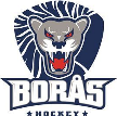 Borås