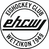 Wetzikon Wetzikon