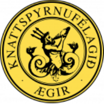 Ægir