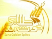 Khoosheh Talai Khoosheh Talai