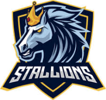 Stallions Stallions