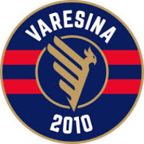 Varesina