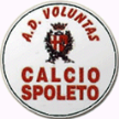 Voluntas Spoleto