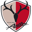 Kashima Antlers