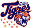 Quintana Roo Tigers