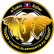 Young Elephants