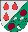 Olaine Union Olaine Union