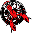 Talsi Laidze
