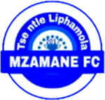 Mzamane Mzamane