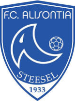 Alisontia Steinsel