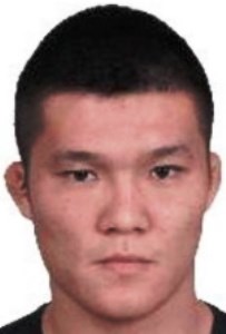 Pingyuan Liu Pingyuan Liu