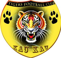 Azam Tigers