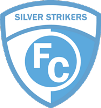 Silver Strikers Silver Strikers