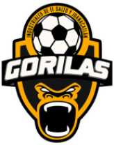 Gorilas de Juanacatlan