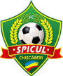 Spicul Chișcăreni