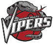 Rio Grande Valley Vipers