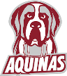 Aquinas Saints Aquinas Saints
