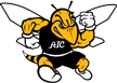 American International Yellow Jackets American International Yellow Jackets