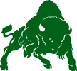 Bethany Bison