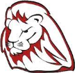 Bryan Lions