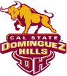 Cal State Dominguez Hills Toros