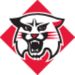 Davidson Wildcats