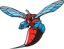 Delaware State Hornets