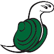 Evergreen State Geoducks