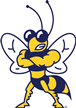 Howard Payne Yellow Jackets