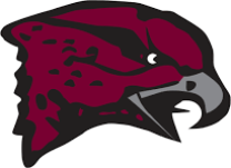 Maryland-Eastern Shore Hawks