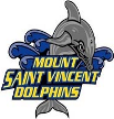 Mount Saint Vincent Dolphins