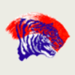 Savannah State Tigers Savannah State Tigers