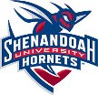 Shenandoah Hornets