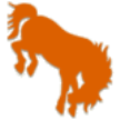 Texas-Pan American Broncs Texas-Pan American Broncs