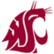 Washington State Cougars