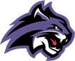 Wiley Wildcats Wiley Wildcats